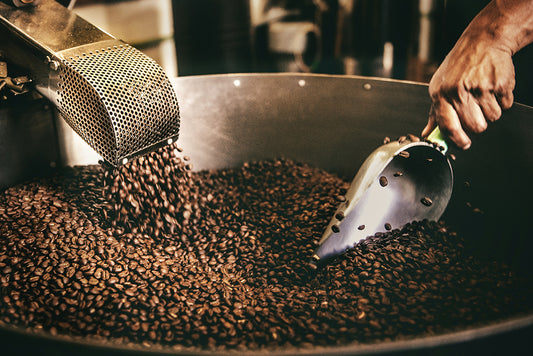 Differenza tra Caffè Robusta e Caffè Arabica: Guida Completa