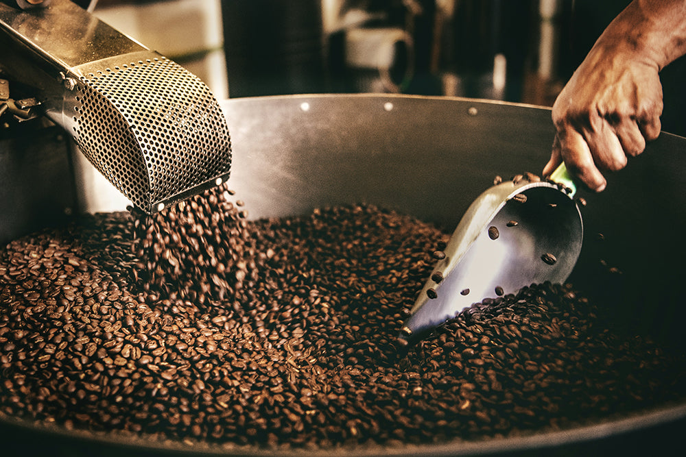Differenza tra Caffè Robusta e Caffè Arabica: Guida Completa